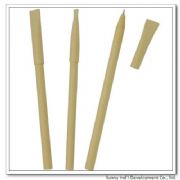 Biodegradable pen(PE1019)