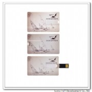 Free LOGO printing, Business card usb flash drive(UF1008)